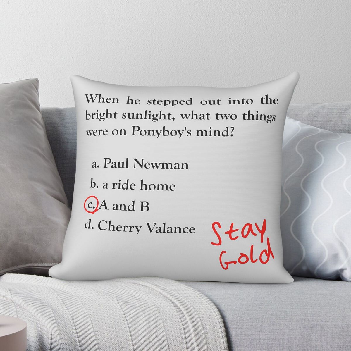 Outsiders Ponyboy Quiz Questio - Home Decor Quiz Free บทวิจารณ์และราคา