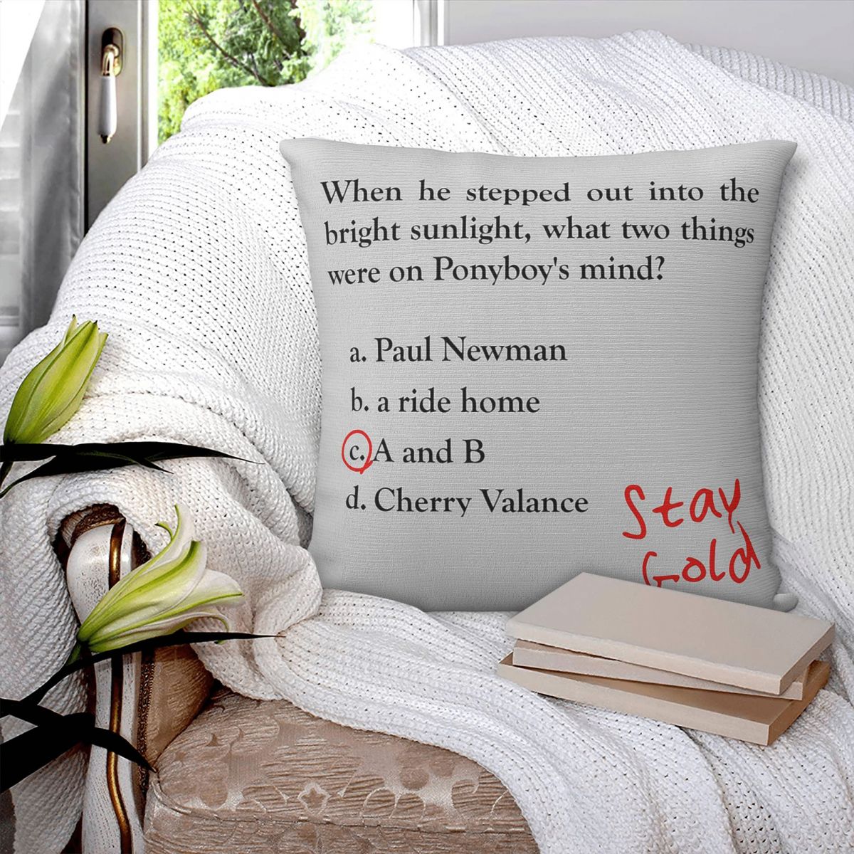 Outsiders Ponyboy Quiz Questio - Home Decor Quiz Free บทวิจารณ์และราคา