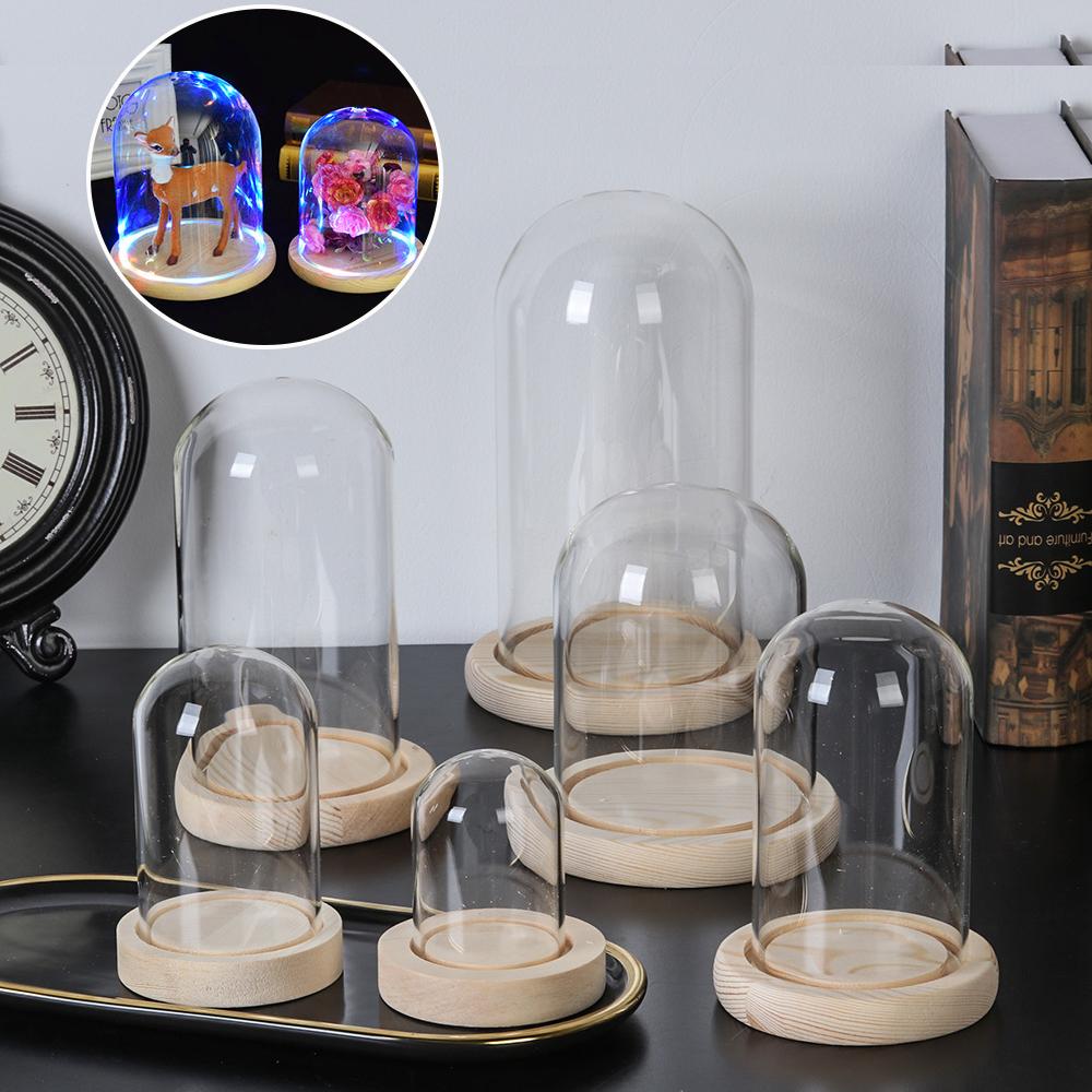 กระถางต้นไม้ตกแต่งบ้าน แจกันแก - Home Decor Vase บทวิจารณ์และราคา