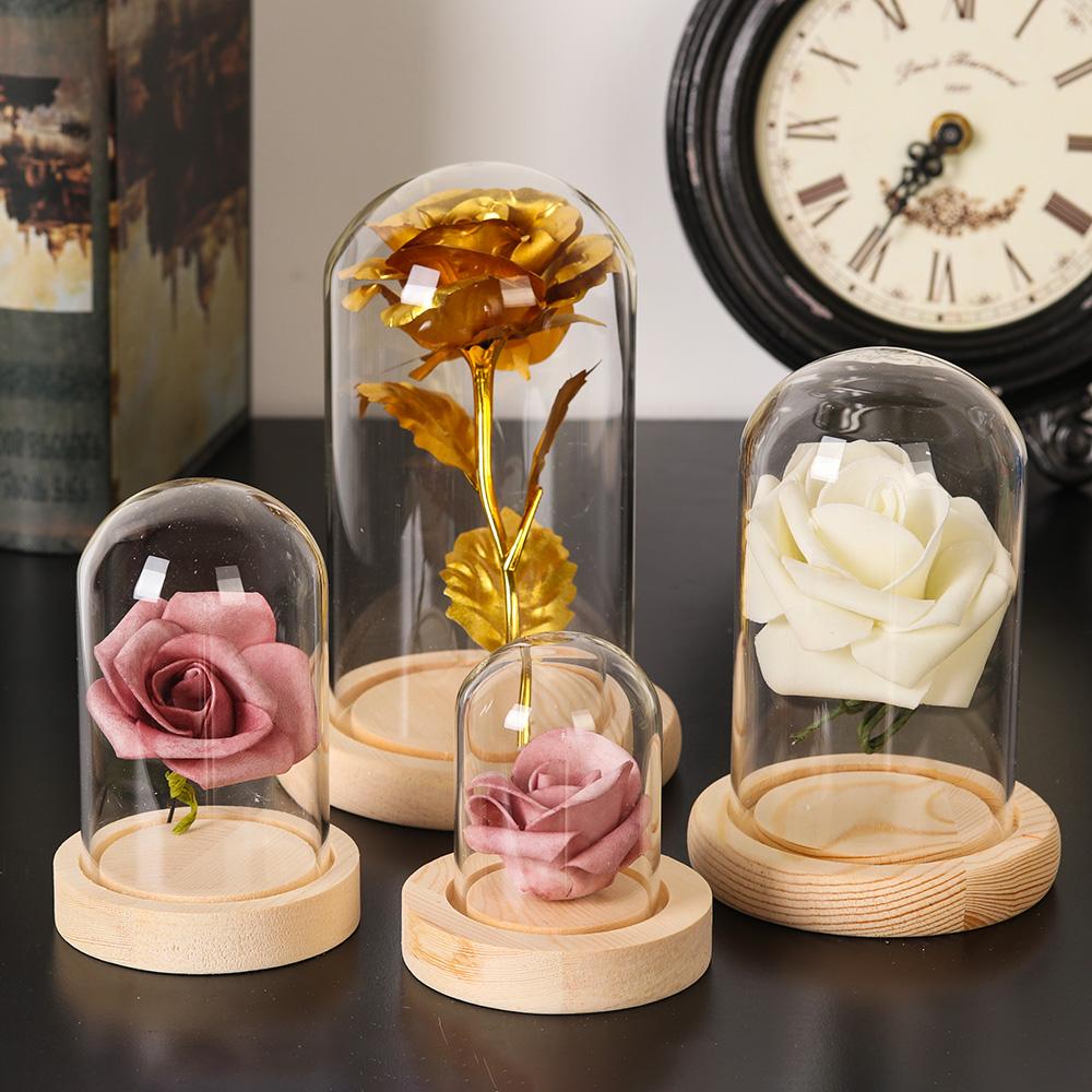 กระถางต้นไม้ตกแต่งบ้าน แจกันแก - Home Decor Vase บทวิจารณ์และราคา
