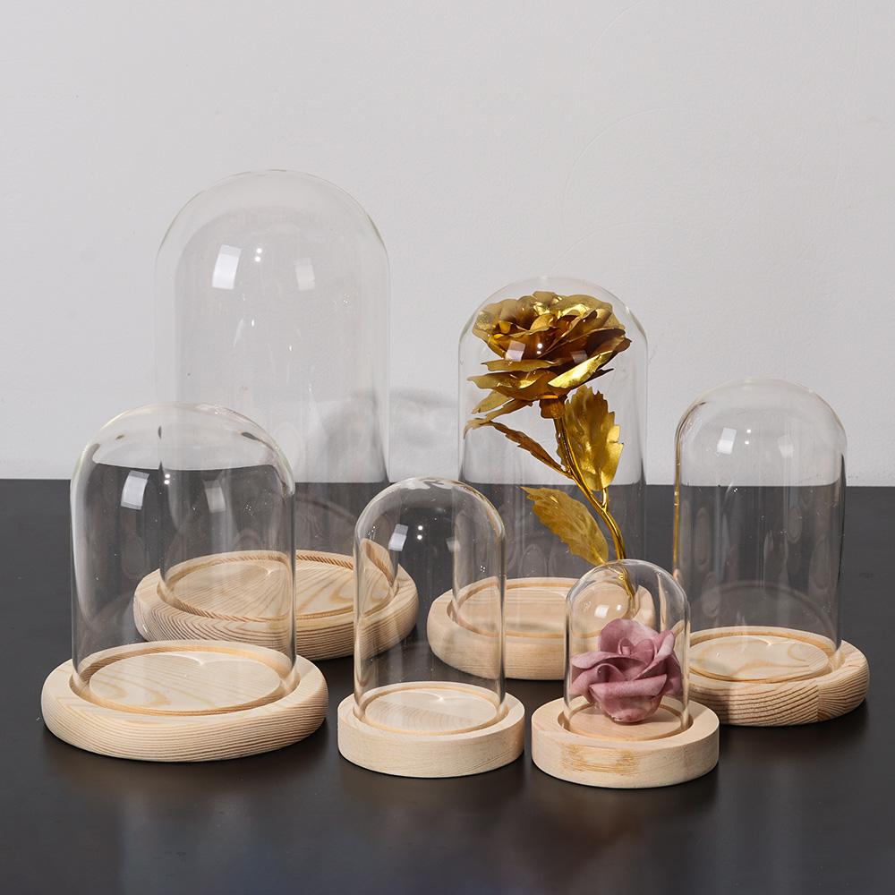 กระถางต้นไม้ตกแต่งบ้าน แจกันแก - Home Decor Vase บทวิจารณ์และราคา