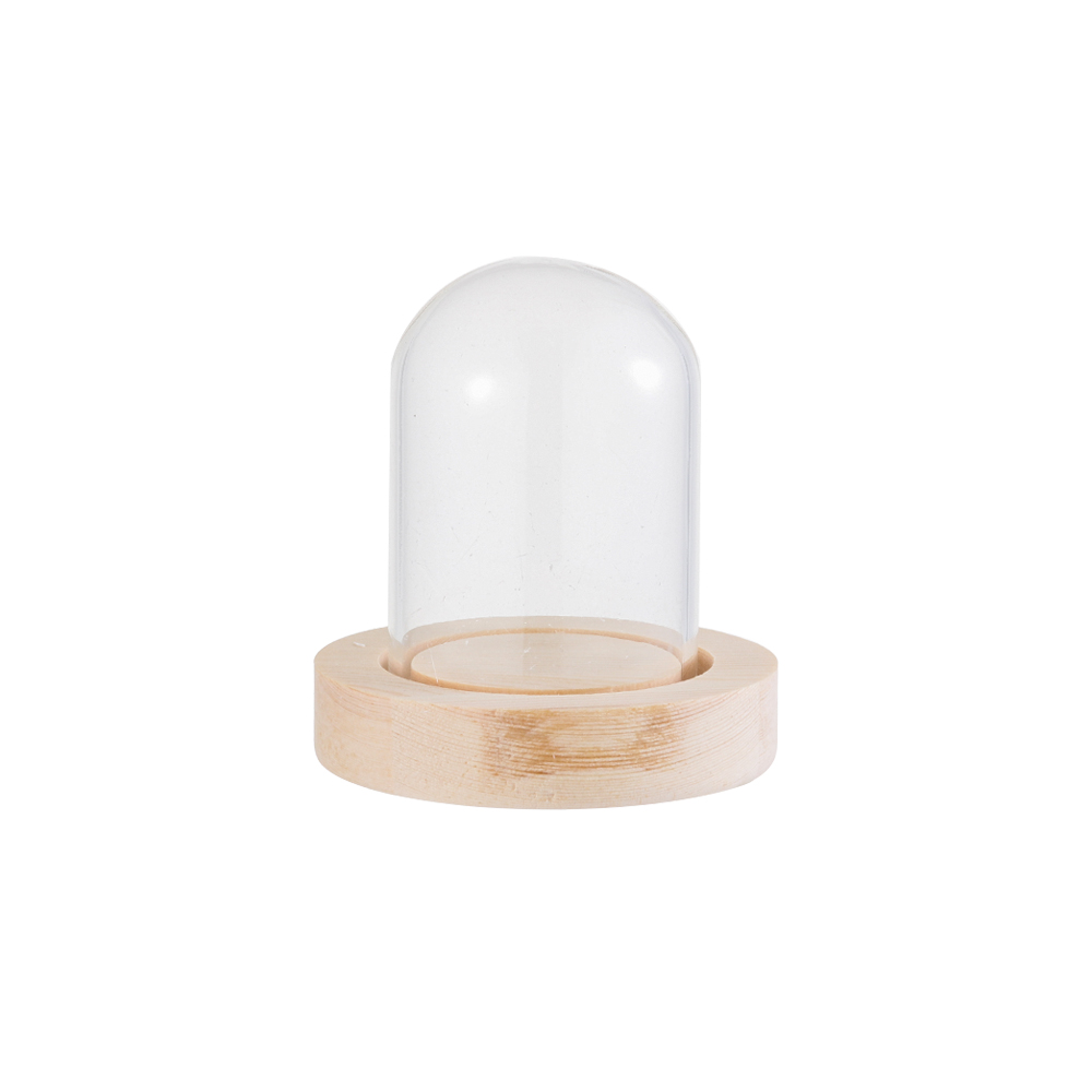 ไฟประดับตกแต่งบ้าน ขวดแก้วใสสำ - Home Decor Vase บทวิจารณ์และราคา